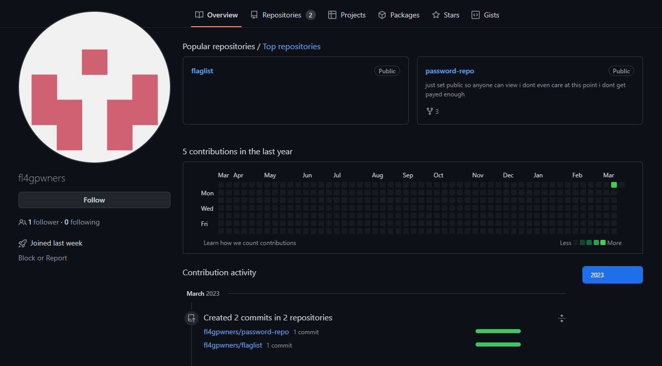 Screenshot of GitHub user fl4gpwners