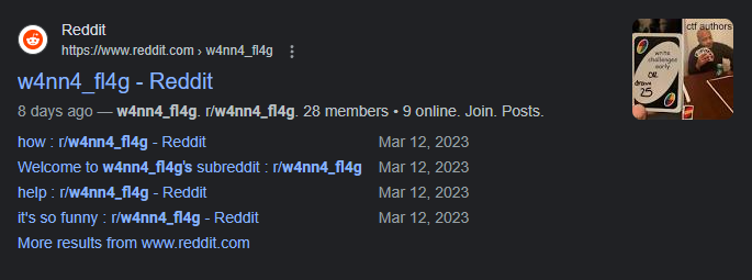 Screenshot of Google Search results for the query “w4nn4_fl4g”