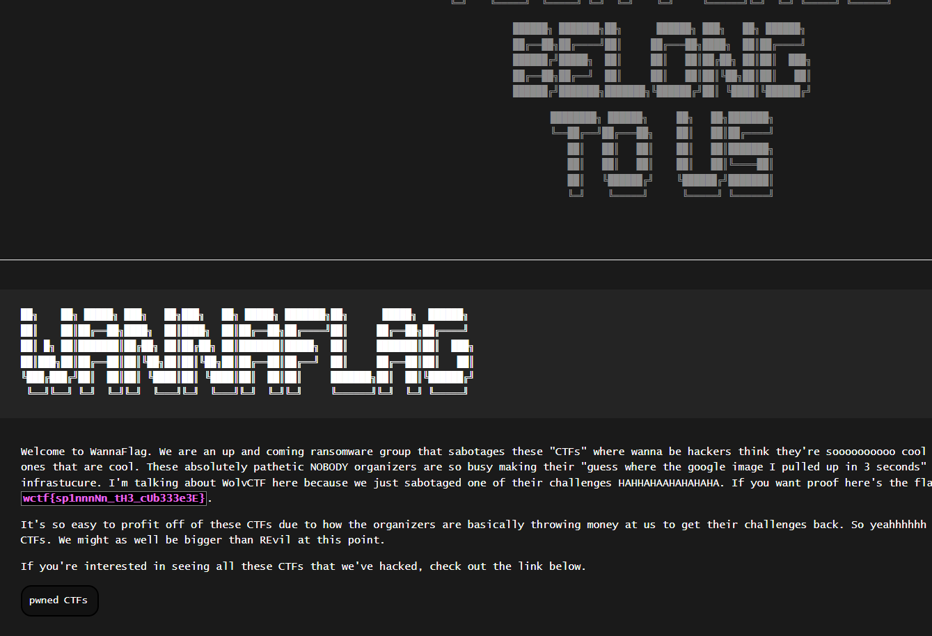 Screenshot of secret WannaFlag website, which reveals a flag